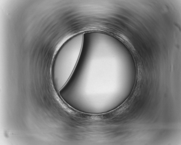 X0000100210796200805300724