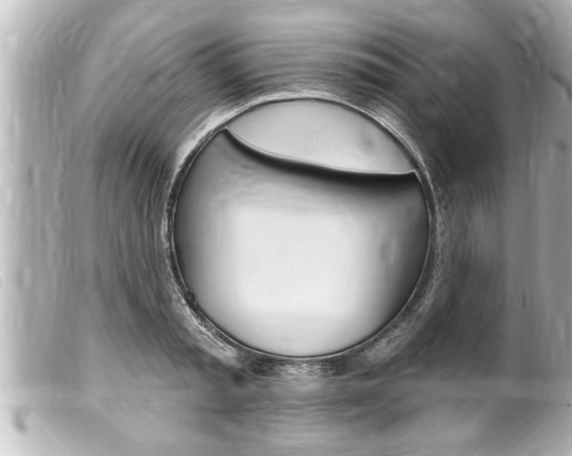 X0000100210797200805300724