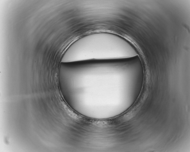 X0000100210801200805300724