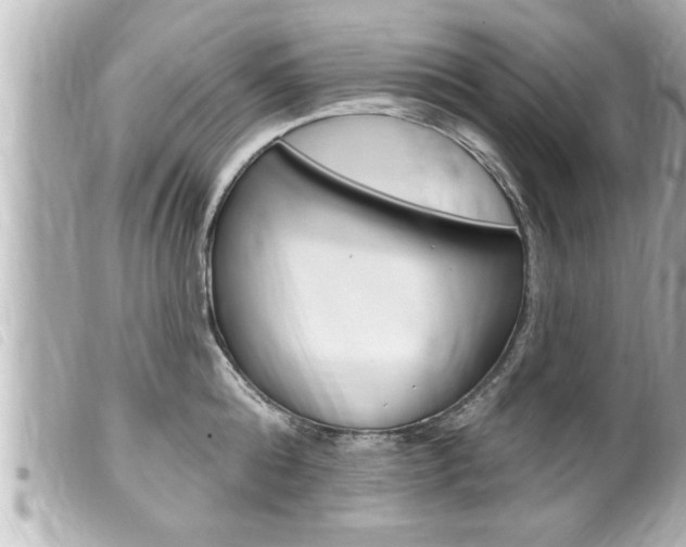 X0000100210808200805300724
