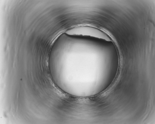 X0000100210809200805300724