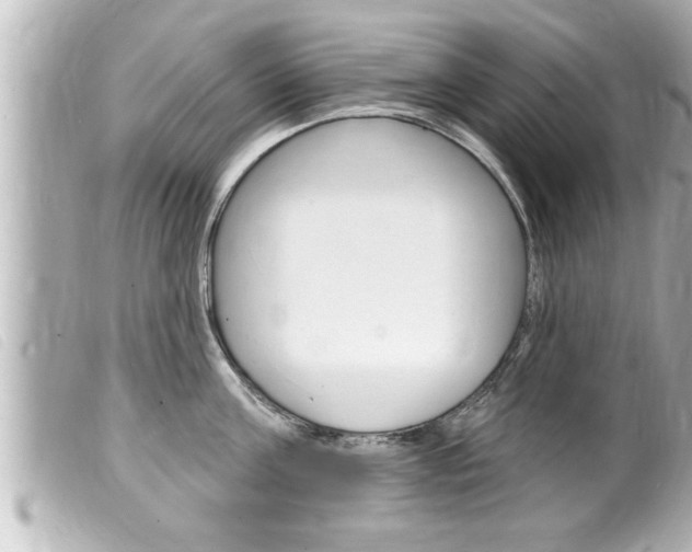 X0000100210811200805300724