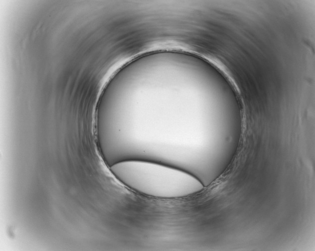 X0000100210815200805300724