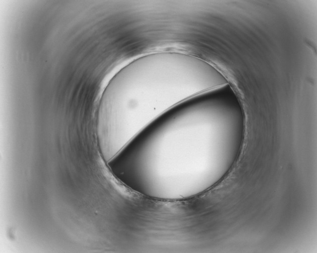 X0000100210816200805300724