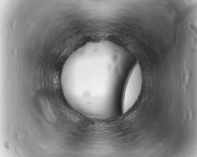 X0000100210818200805300724