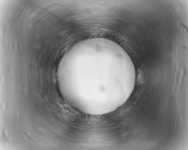 X0000100210819200805300724
