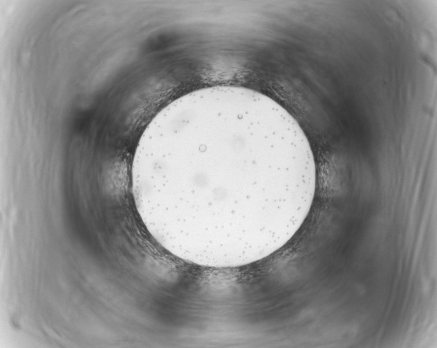 X0000100210820200805300724