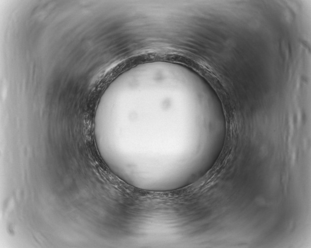 X0000100210822200805300724
