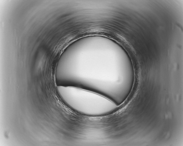 X0000100210825200805300724