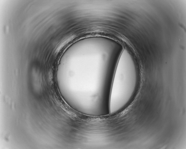 X0000100210826200805300724