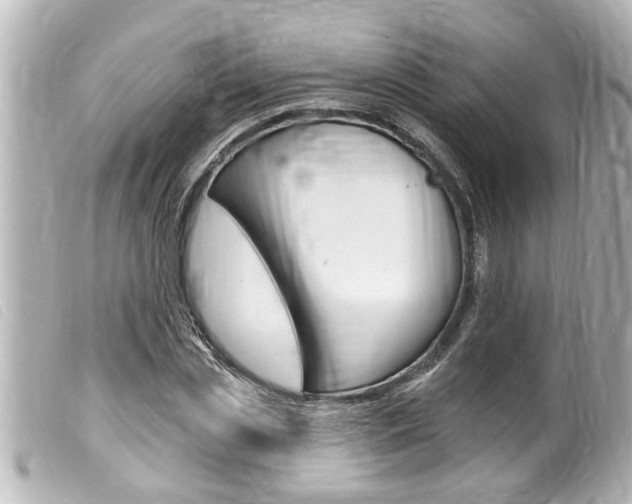 X0000100210829200805300724