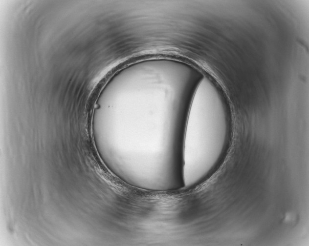 X0000100210830200805300724