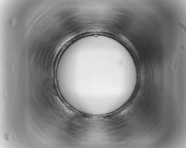 X0000100210831200805300724