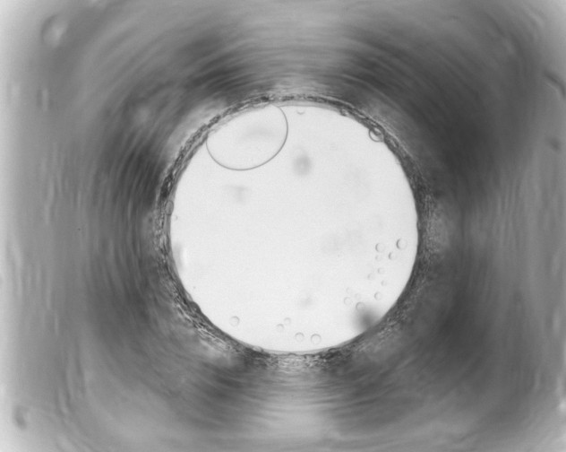 X0000100210832200805300724