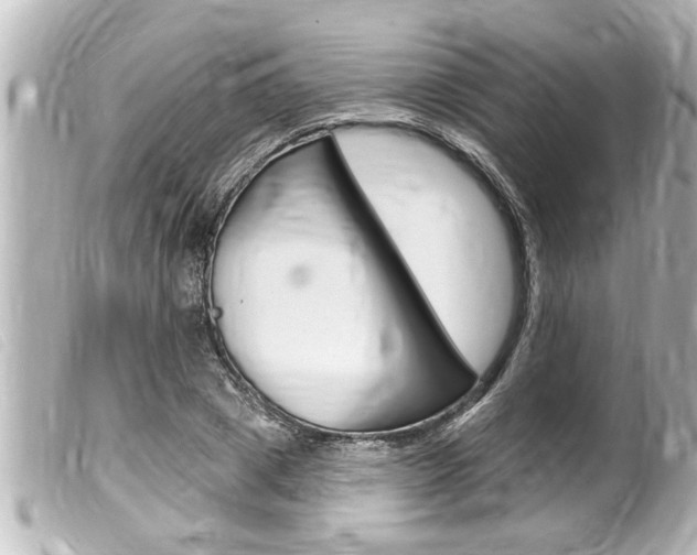 X0000100210833200805300724