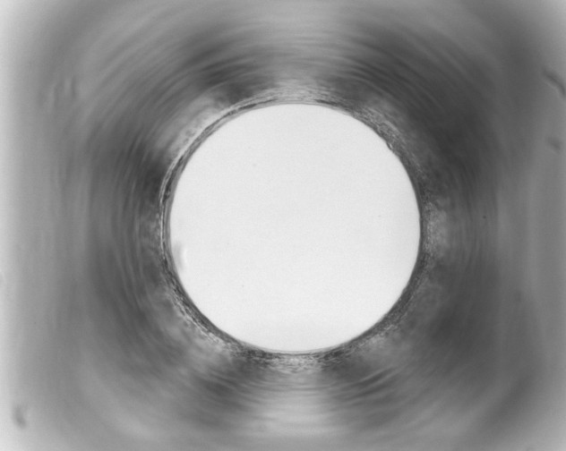 X0000100210836200805300724