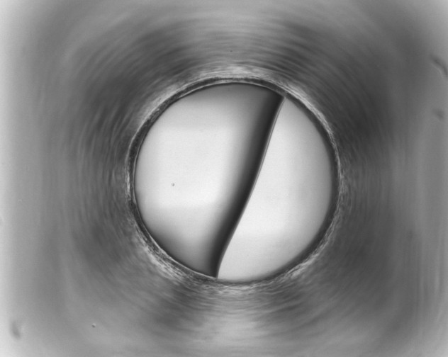 X0000100210837200805300724