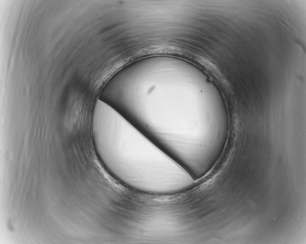 X0000100210841200805300724