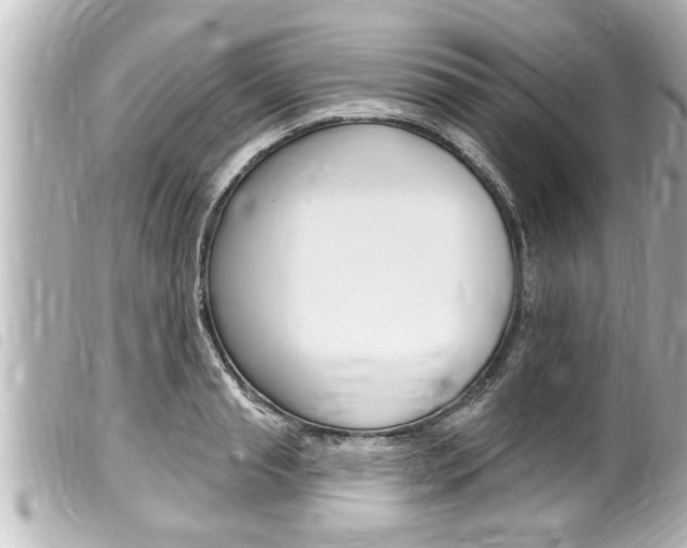 X0000100210845200805300724