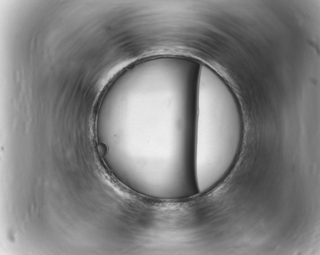 X0000100210846200805300724