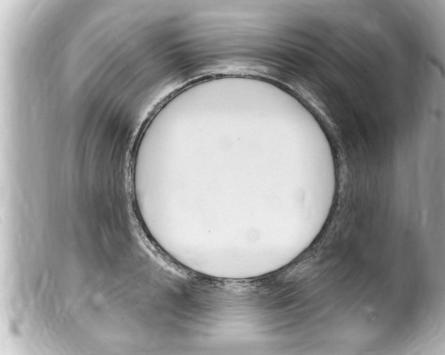 X0000100210848200805300724