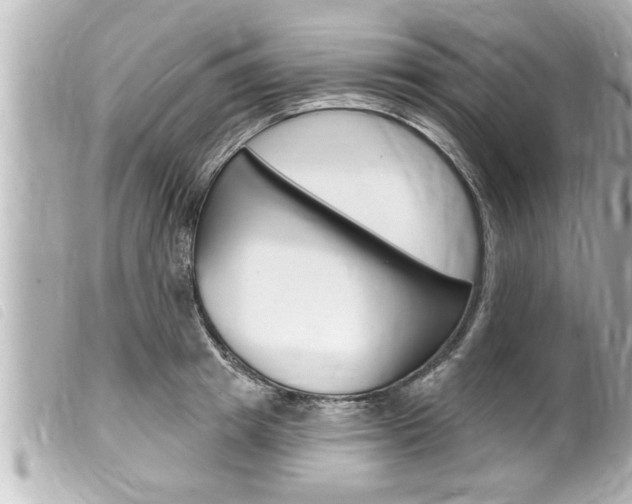 X0000100210849200805300724