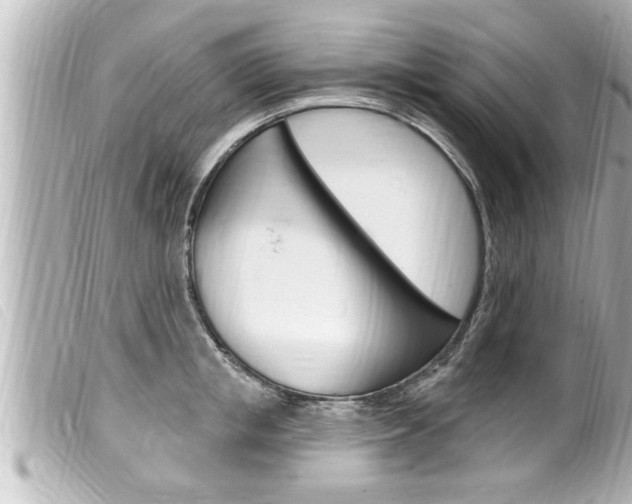 X0000100210853200805300724