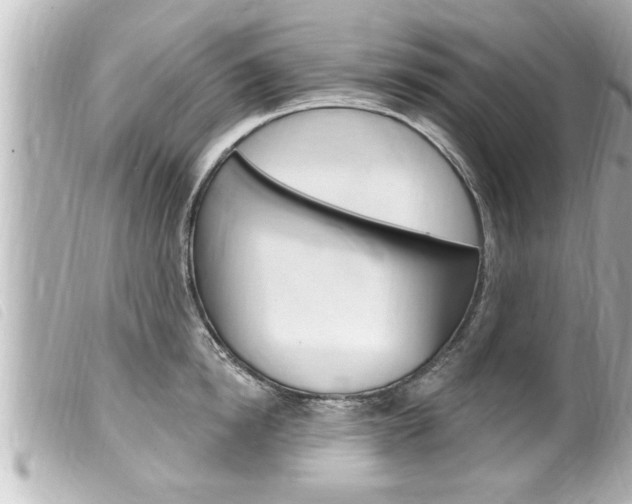 X0000100210854200805300724