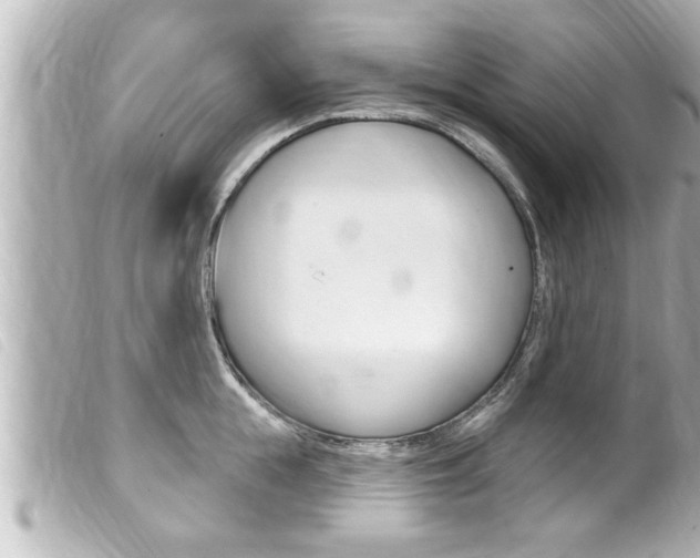 X0000100210855200805300724