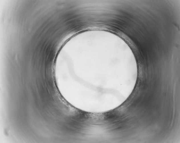 X0000100210856200805300724