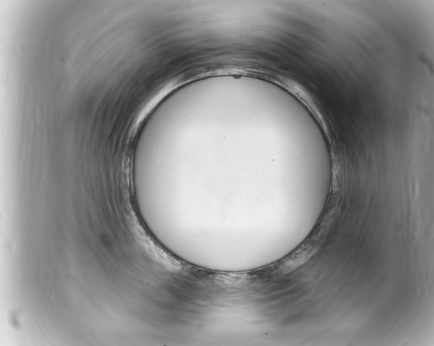 X0000100210859200805300724