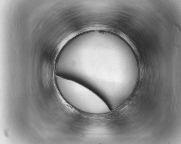 X0000100210861200805300724