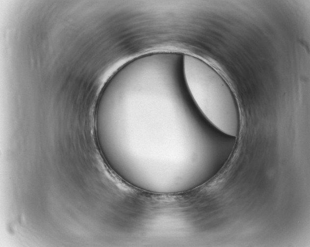 X0000100210862200805300724