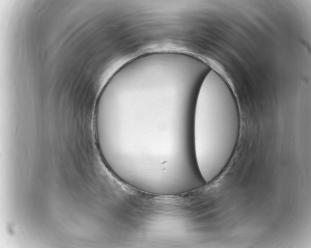 X0000100210863200805300724