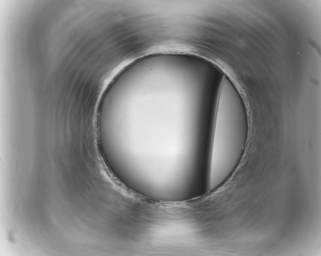 X0000100210864200805300724