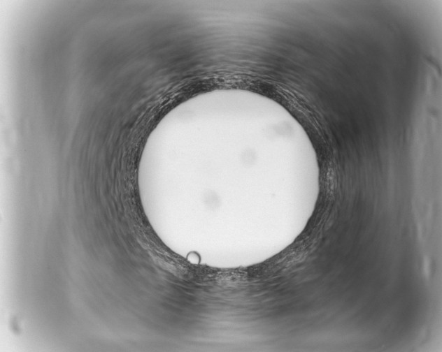 X0000100210865200805300724