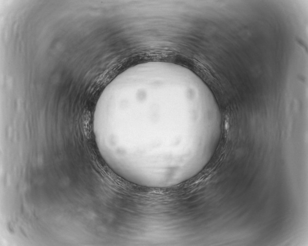 X0000100210867200805300723