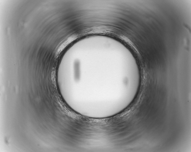 X0000100210874200805300723