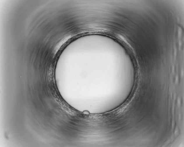 X0000100210875200805300723