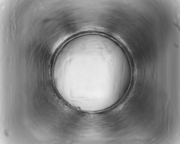 X0000100210877200805300723