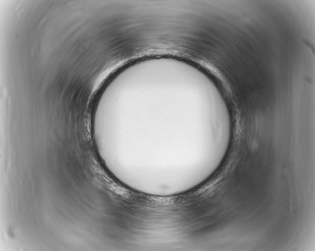 X0000100210878200805300723
