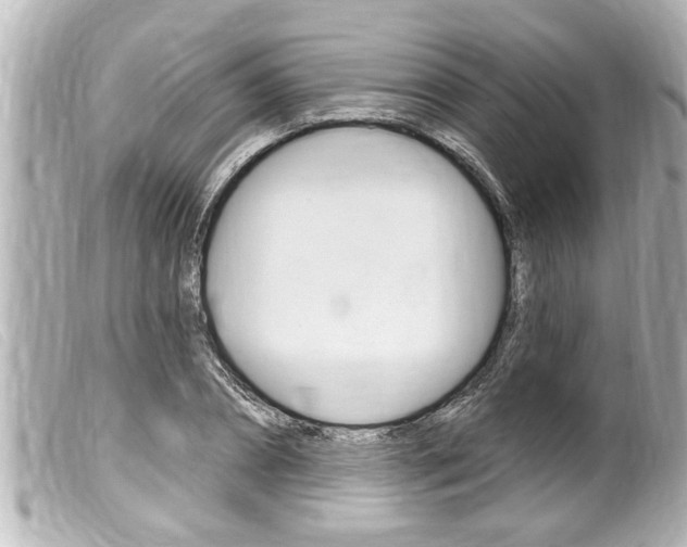 X0000100210882200805300723