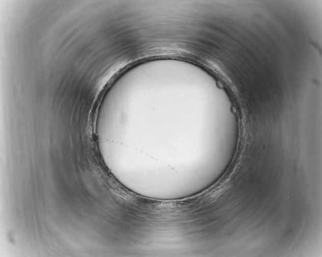 X0000100210883200805300723