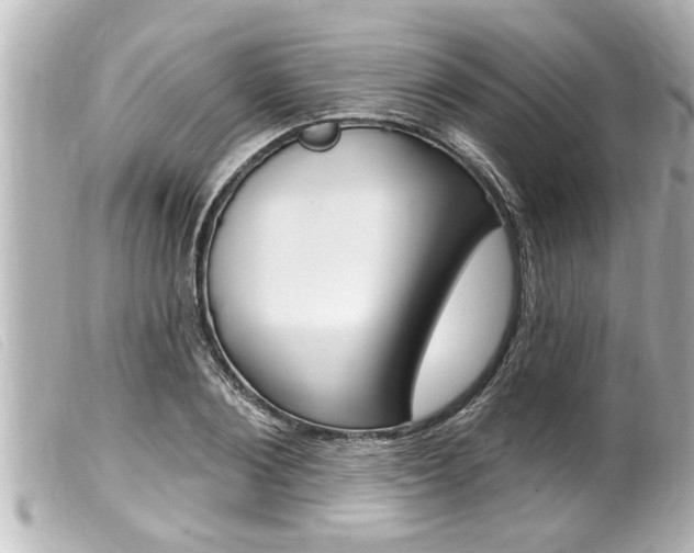X0000100210884200805300723