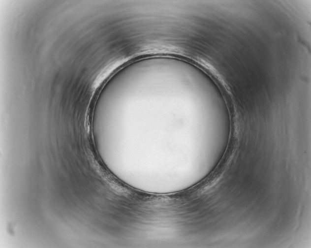 X0000100210885200805300723