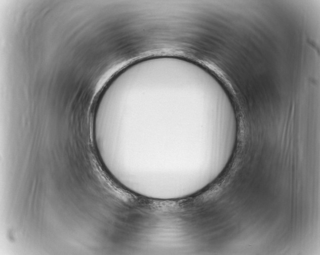 X0000100210886200805300723