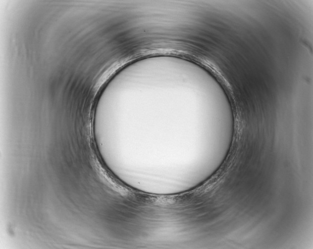 X0000100210890200805300723