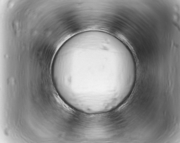 X0000100210892200805300723