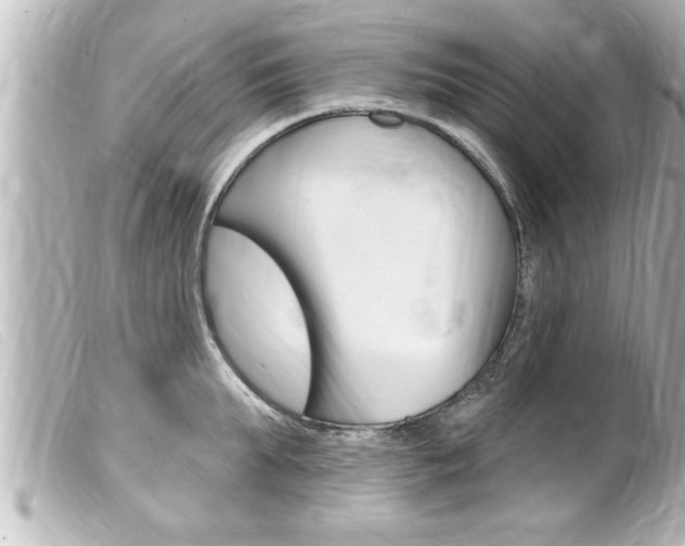 X0000100210903200805300723