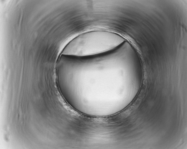 X0000100210904200805300723
